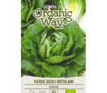 SĖJAMOSIOS SALOTOS VERDE DEGLI ORTOLANI