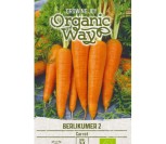 VALGOMOSIOS MORKOS BERLIKUMER 2