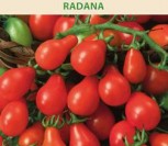VALGOMIEJI POMIDORAI RADANA