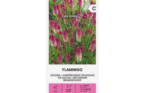 VARPIŠKOSIOS CELIOZIJOS  FLAMINGO