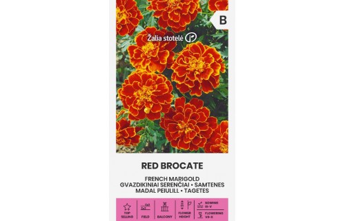 GVAZDIKINIAI SERENČIAI RED BROCATE