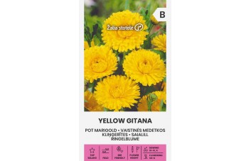 VAISTINĖS MEDETKOS YELLOW GITANA