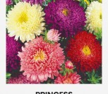 KININIAI RATILIAI  PRINCESS
