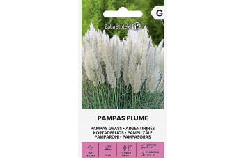 ARGENTININĖS KORTADERIJOS PAMPAS PLUME