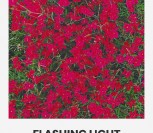 ŠILINIAI GVAZDIKAI FLASHING LIGHT