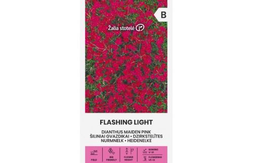 ŠILINIAI GVAZDIKAI FLASHING LIGHT