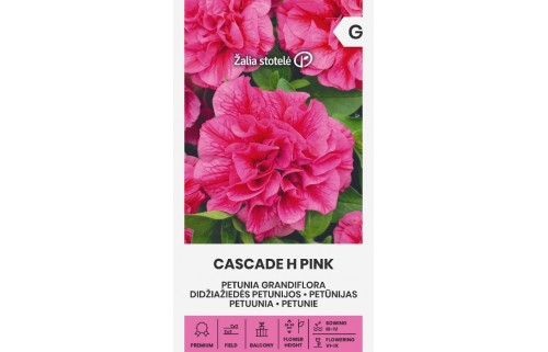 DIDŽIAŽIEDĖS PETUNIJOS CASCADE H PINK