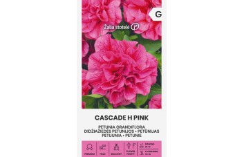 DIDŽIAŽIEDĖS PETUNIJOS CASCADE H PINK
