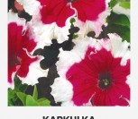 DARŽELINĖS PETUNIJOS KARKULKA