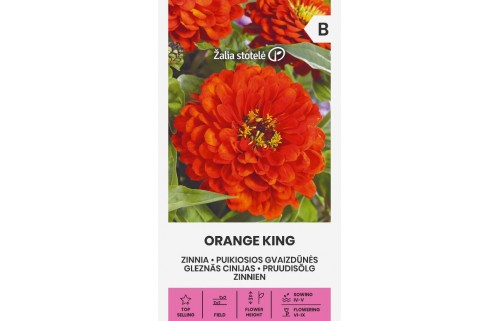 PUIKIOSIOS GVAIZDŪNĖS ORANGE KING