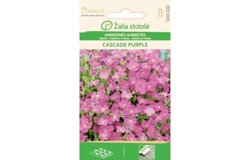 AUBRETĖS CASCADE PURPLE
