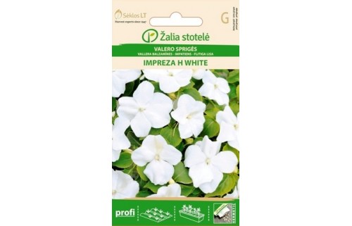 VALERO SPRIGĖS IMPREZA H WHITE
