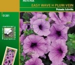 PETUNIJOS (SURFINIJOS) EASY WAVE H PLUM VEIN