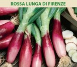 VALGOMIEJI SVOGŪNAI ROSSA LUNGA DI FIRENZE