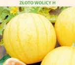 TIKRIEJI ARBŪZAI ZŁOTO WOLICY H