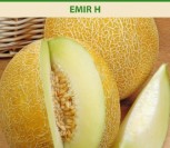 SĖJAMIEJI MELIONAI EMIR H